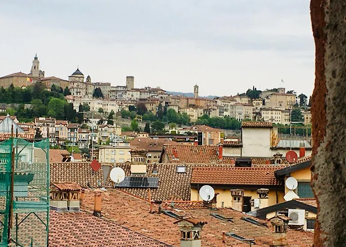 Franky & Angy Bergamo